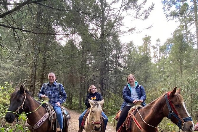 Monarch Butterfly Tour Mexico: Sierra Chuincua and Magic Town - Timing, Pacing, and Overall Value