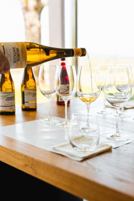 Monção: Quinta da Torre Wine Tasting with Regional Snacks - Key Points