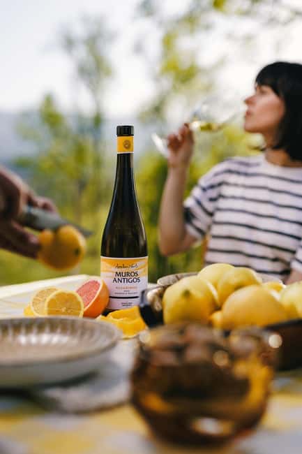 Monção: Quinta da Torre Wine Tasting with Regional Snacks - Monção and Melgaço: The Region’s Signature Flavors