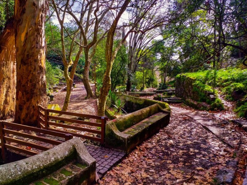 Monchique and Fóia: Half Day Tour - Visiting Monchique’s Natural and Cultural Attractions