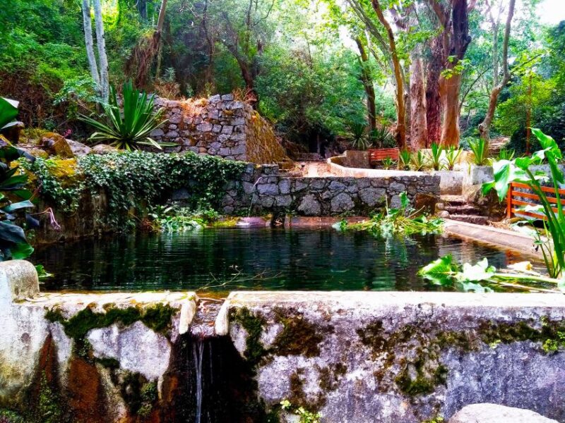 Monchique and Fóia: Half Day Tour - Why This Tour Stands Out in Algarve