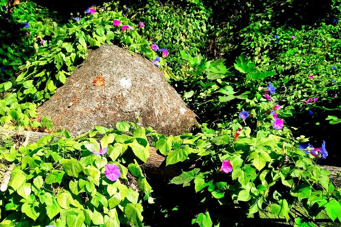 Monchique Half Day Small-Group Tour from Lagos - Practical Details: Booking, Timing, and Weather