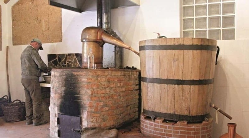 Monchique: Highlights Tour - The Serra de Monchique: Scenic Walks and Views