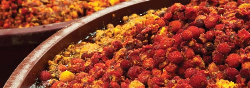 Monchique: Highlights Tour - Additional Scenic Stops and Photo Opportunities