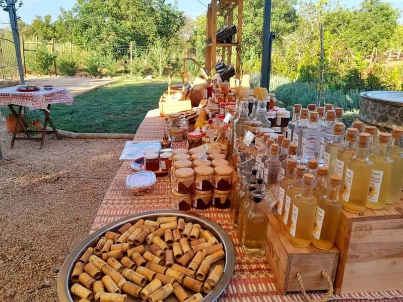 Monchique: Highlights Tour - Swimming and Snorkeling at Caldas de Monchique