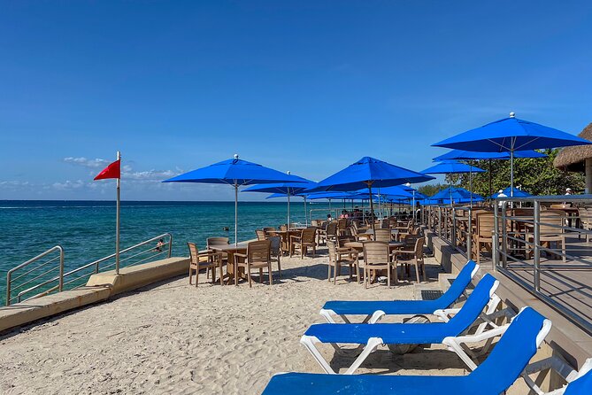 Money Bar Day Pass with Snorkel & Mexican Lunch - The Prime Location of The Money Bar in Cozumel
