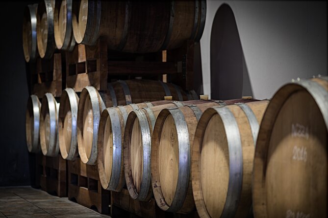 Monferrato (Asti): Wine Tour with light lunch picnic in the vineyards - A Close-Up of the Vineyard Experience in Agliano Terme