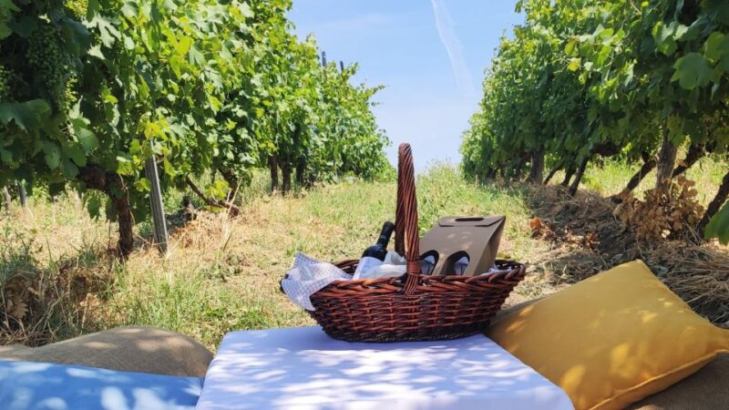 Monferrato: Garetto Wine Estate Tour and Picnic Private - Guided Cellar Visit with the Estate Owners