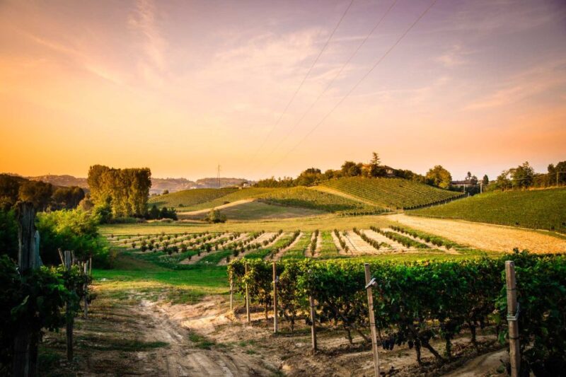Monferrato: Garetto Wine Estate Tour and Picnic Private - Convenient Meeting Point and Group Size