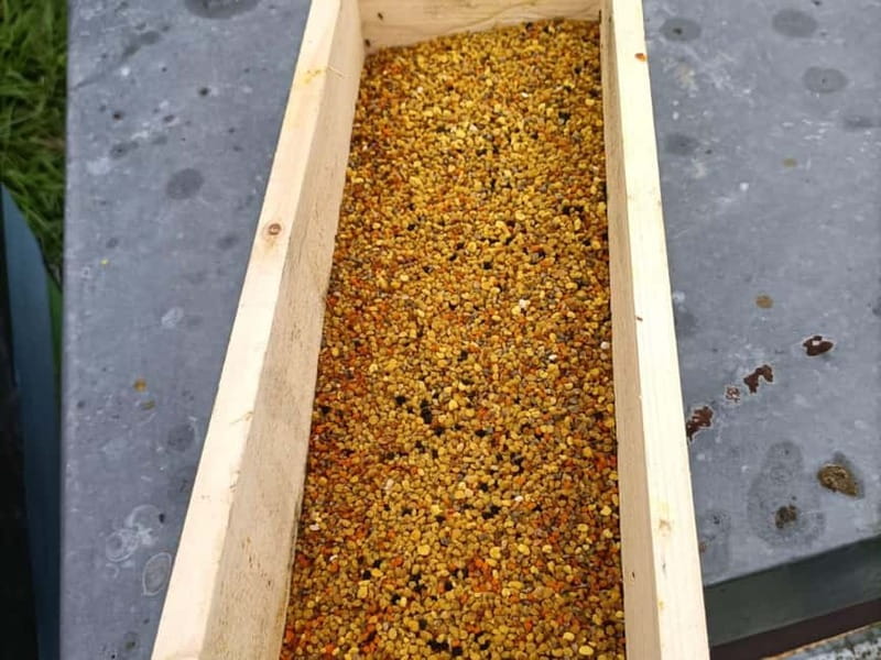 Monferrato: Honey and Mead Tasting Experience - The Educational Element of the Experience