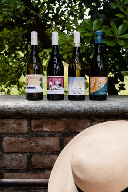 Monferrato: Tour the Winery and Enjoy a Tasting - Exploring the Vineyards Before the Winery Tour