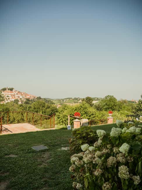 Monferrato: Wine Tasting and Guided Infernot Tour - Scenic Viewpoints and Photo Opportunities in Cella Monte