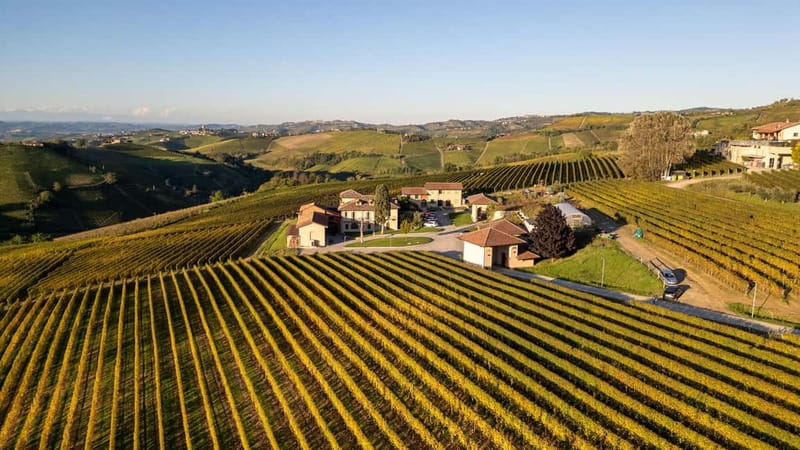 Monforte d'Alba: 7 glasses of Langhe with visit to Winery and Vineyards - Monforte dAlba: 7 glasses of Langhe with visit to Winery and Vineyards – An Authentic Wine Experience in Piedmont