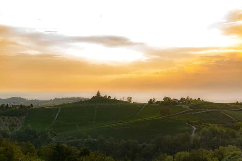 Monforte d'Alba: Picnic & Big Benches - Exploring Monforte dAlba on a Scenic 1.5-Hour Walk