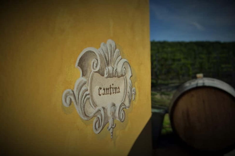 Monforte d'Alba: Wine and Chocolate Tasting Experience - Tasting Five Local Wines with Expert Guidance