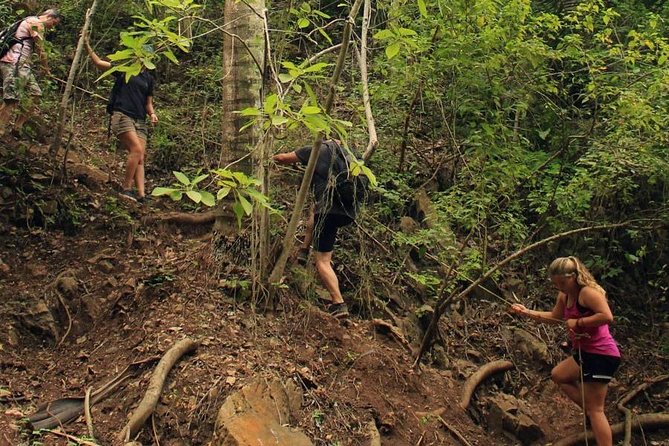 Monkey Mountain Jungle Hike Adventure - Logistics: Transportation, Group Size, and What to Bring