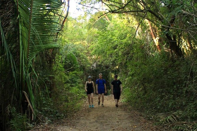 Monkey Mountain Jungle Hike Adventure - The Value of the Monkey Mountain Jungle Hike Compared to Other Activities