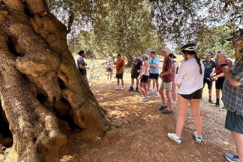 Monopoli: E-Bike Tour with Sandwich and Wine - Key Points