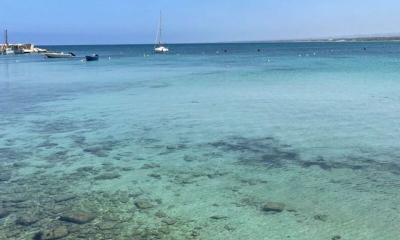 Monopoli: E-Bike Tour with Sandwich and Wine - Practicalities: Group Size, Booking, and Physical Requirements