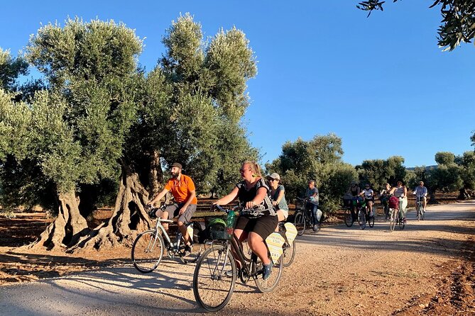 Monopoli's Countryside by Bike - Explore Monopoli’s Countryside and Historic Old Town by Bike