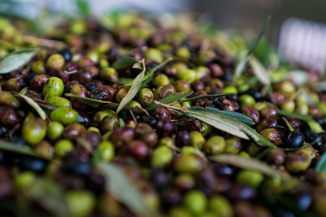 Monopoli's Countryside by Bike - Visiting the Rural Church of Spirito Santo