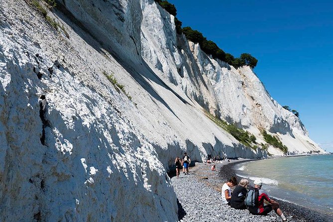 Møns klint and The Forest tower - A day tour from Copenhagen - Value and Considerations for Budget-Conscious Visitors