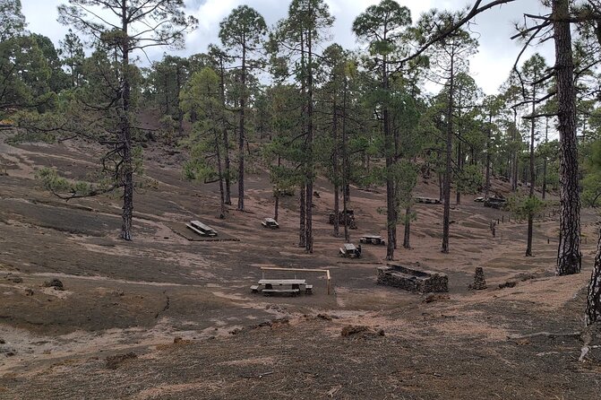 Monster Quad Teide Tour - Key Points