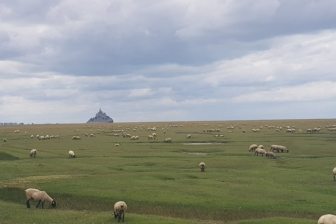 Mont Saint-Michel Private trip from Saint-Malo with local driver - What Sets This Tour Apart from Others