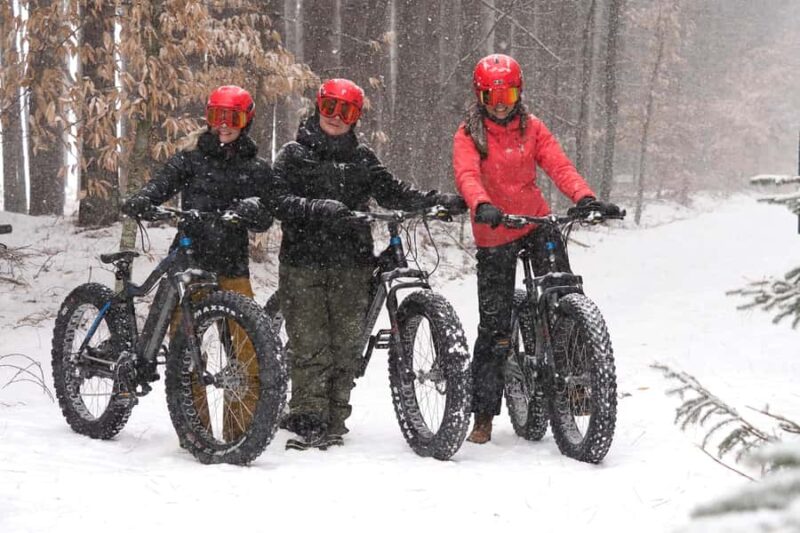 Mont-Tremblant: Electric Fat Bike Rental with Helmet - Who Will Enjoy This Electric Fat Bike Tour?