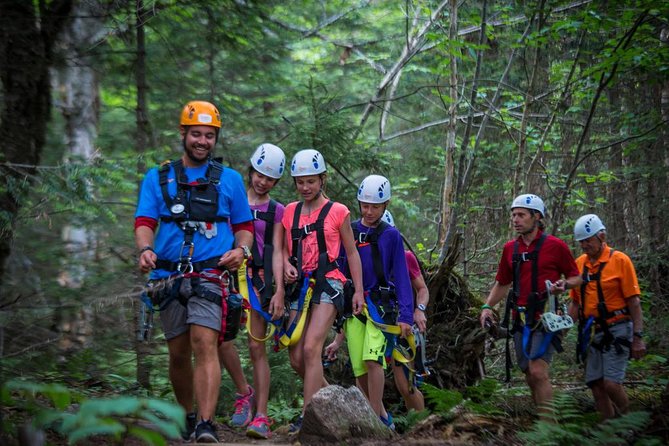Mont Tremblant Guided Zipline Tour - Safety and Equipment: Professional Guides and Custom Gear