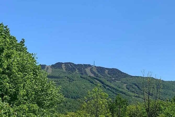 Mont Tremblant Private Day Tour from Montreal - Activities and Recommendations for Your Day