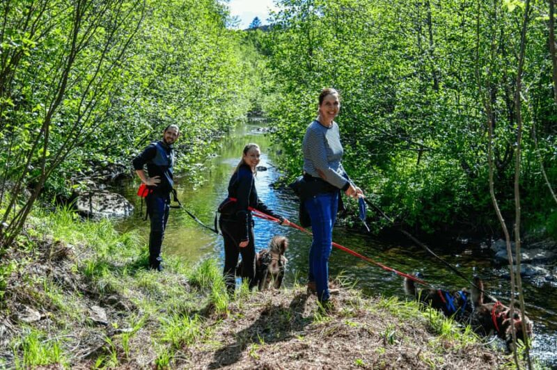 Mont-Tremblant: Sled Dog Hiking Experience - Discover a Unique Sled Dog Hiking Adventure in Mont-Tremblant