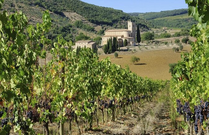 Montalcino: Brunello Wine Tasting Experience - Discover the Charm of Montalcino’s Brunello Tasting at a Medieval Castle