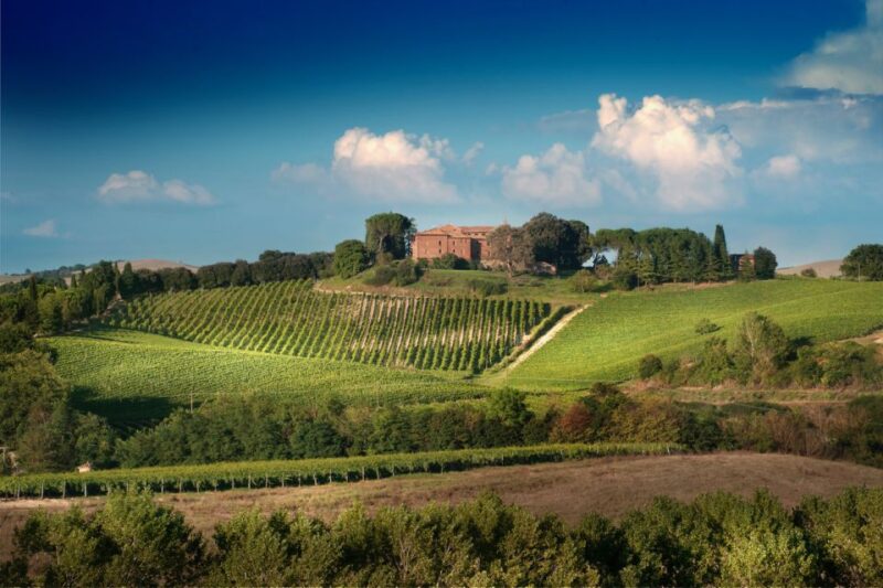 Montalcino: Brunello Wine Tasting Experience - The Setting of a Medieval Castle in Montalcino
