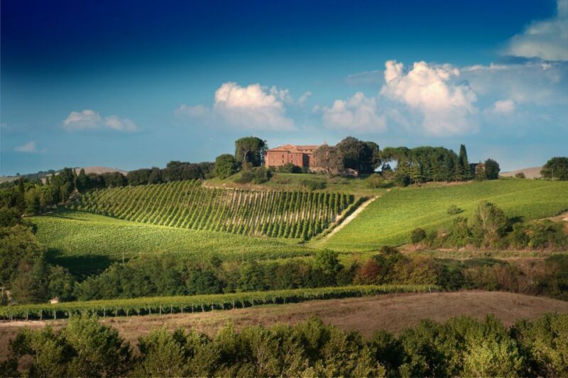 Montalcino: Brunello Wine Tasting & Lunch in a Tuscan Castle - Explore the Historic Castello Tricerchi in Montalcino