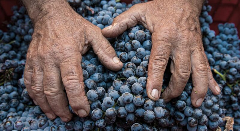 Montalcino: Brunello Wine Tasting & Lunch in a Tuscan Castle - A Classic Tuscan 3-Course Lunch in the Castle
