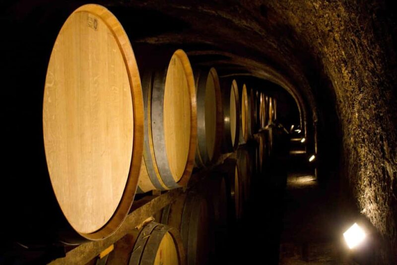 Montalcino: Crus Challenge - Montalcino: Crus Challenge - An Intimate Wine Journey in Tuscany