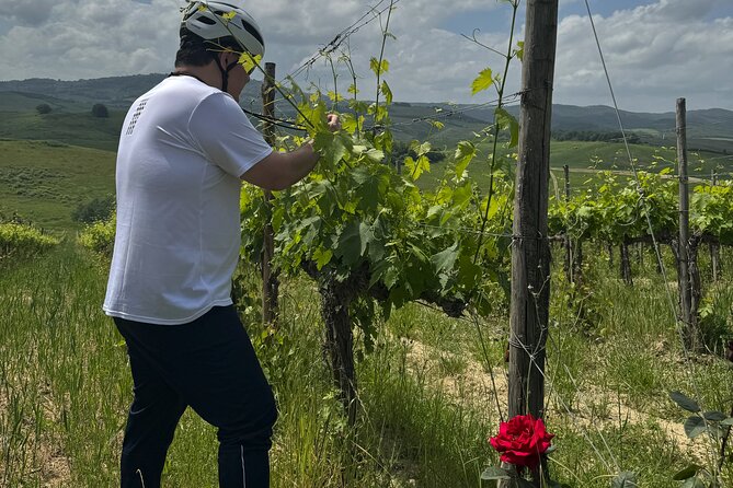 MONTALCINO Essence: Your PRIVAT E-Bike Experience, Top Quality! - Family-Friendly and Inclusive for All Skill Levels