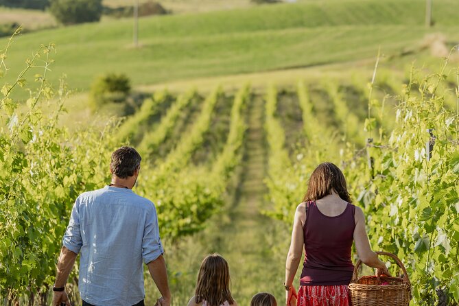 Montalcino: exclusive picnic in the vineyard with wine basket - Meeting Point at the Farm House Colsereno in Montalcino