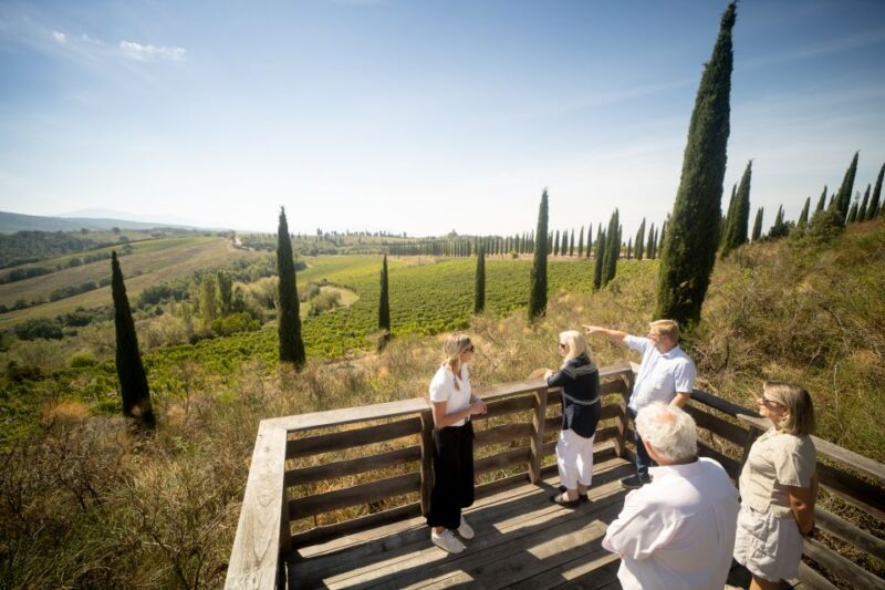 Montalcino: Guided Winery Tour and Wine Tasting - Discover the Charm of Montalcino’s Biodynamic Wineries for $51.24