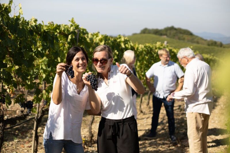 Montalcino: Guided Winery Tour and Wine Tasting - Key Points