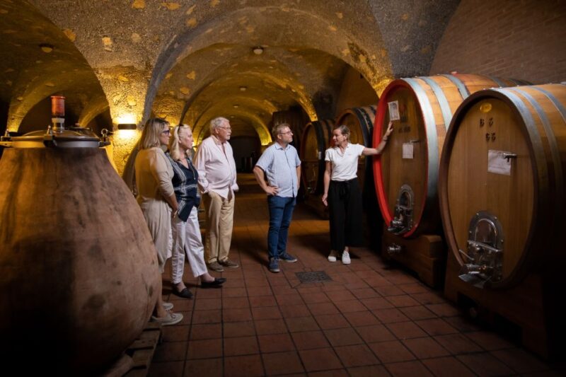 Montalcino: Guided Winery Tour & Gourmet Food Tasting - Expert Guides and Educational Insights