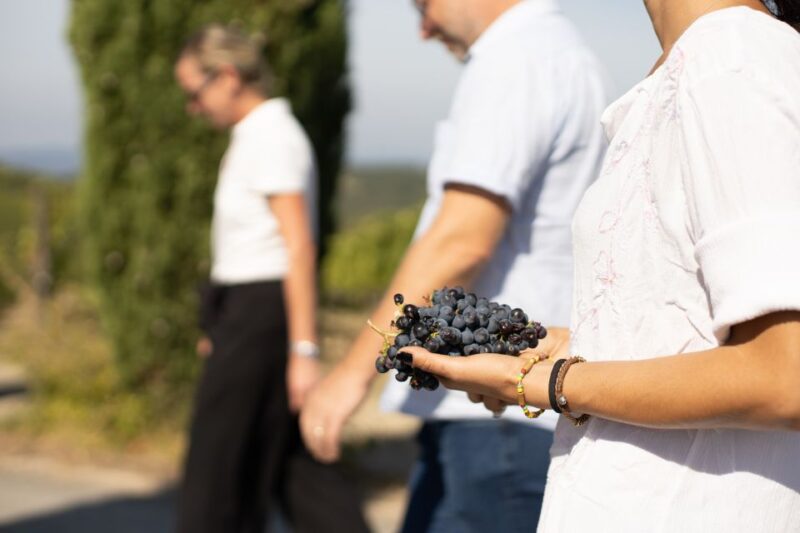 Montalcino: Guided Winery Tour & Gourmet Food Tasting - Flexibility and Booking Details