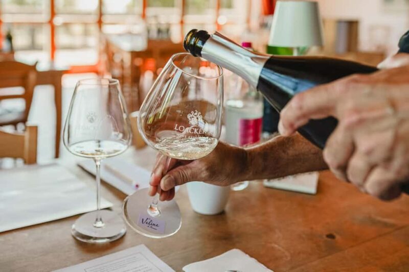 Montalcino: Guided Winery Tour & Gourmet Food Tasting - Suitable Audience for This Tour