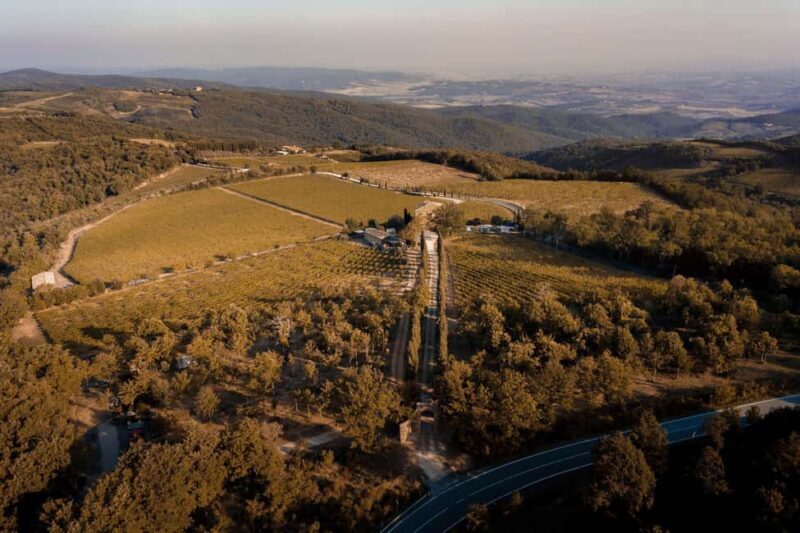 Montalcino: Vertical Tasting - What Makes the Tasting Special: Multiple Vintages and Olive Oil