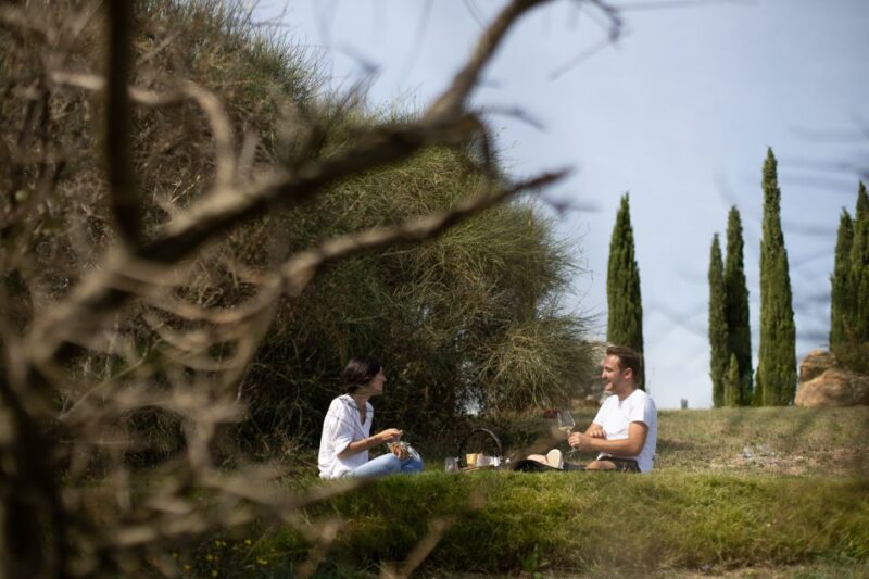 Montalcino: Vineyard Picnic with a Bottle of Wine - Experience a Vineyard Picnic with Wine in Montalcino for $45.55