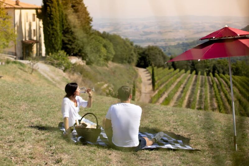 Montalcino: Vineyard Picnic with a Bottle of Wine - Key Points