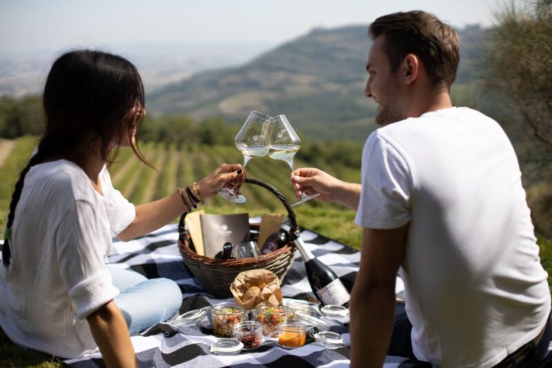 Montalcino: Vineyard Picnic with a Bottle of Wine - The Vineyard and Cellar Tour: Insight into Brunello Wines