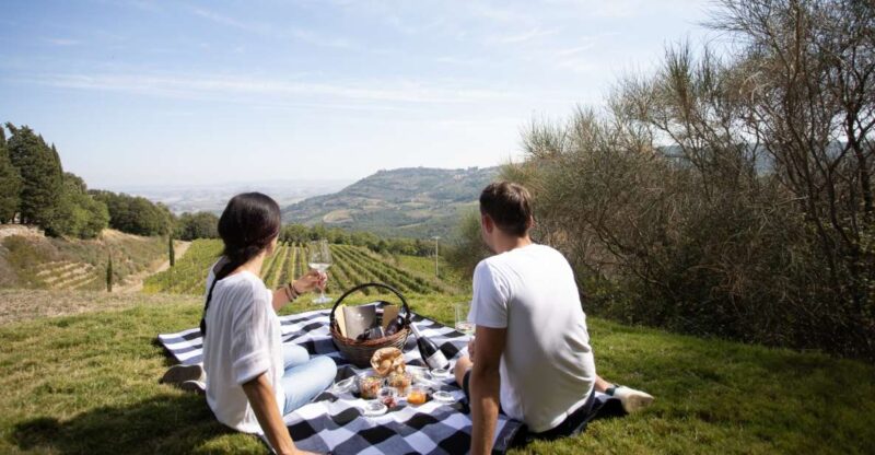 Montalcino: Vineyard Picnic with a Bottle of Wine - Who Will Enjoy This Tour Most?