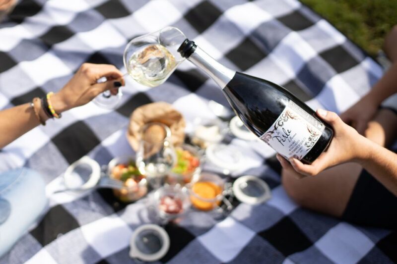 Montalcino: Vineyard Picnic with a Bottle of Wine - Final Thoughts on the Montalcino Vineyard Picnic